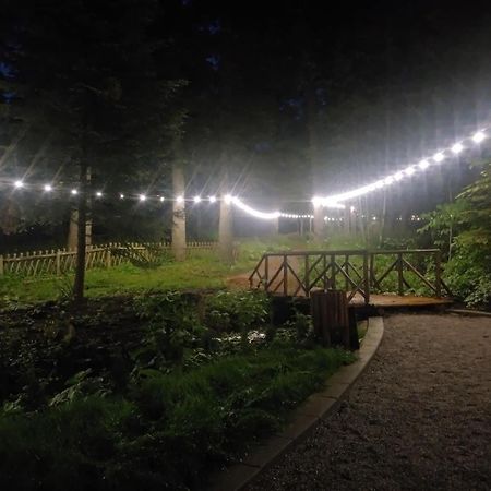 Villa Park - Beniart Studio - Nr 109 - Near Gondola Lift Borovets Exterior foto