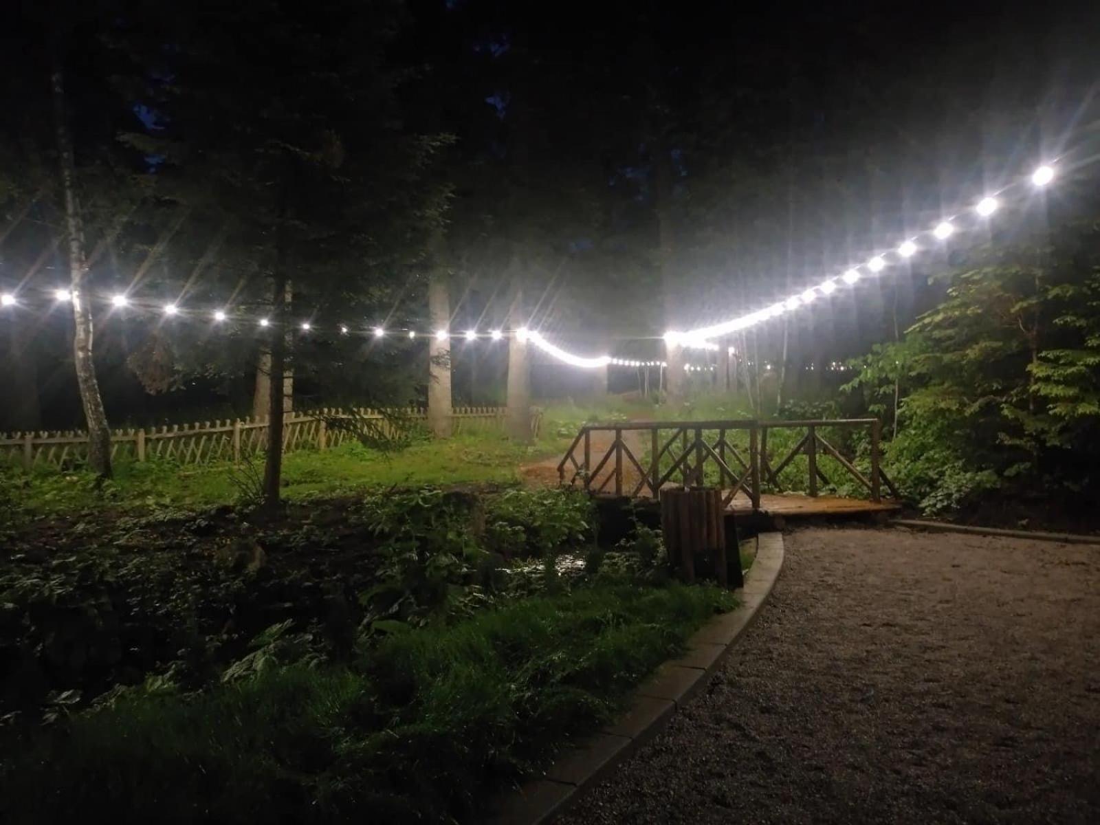 Villa Park - Beniart Studio - Nr 109 - Near Gondola Lift Borovets Exterior foto